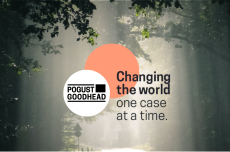 Pogustheadhaitong
