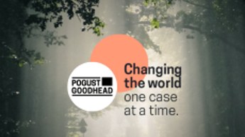 Pogustheadhaitong